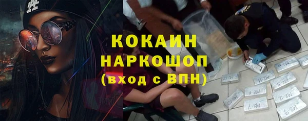 MESCALINE Бородино