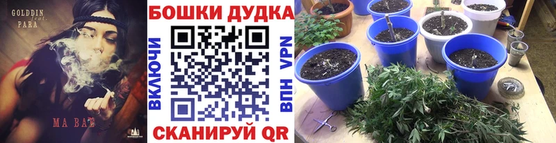 МАРИХУАНА конопля  как найти закладки  Томари 